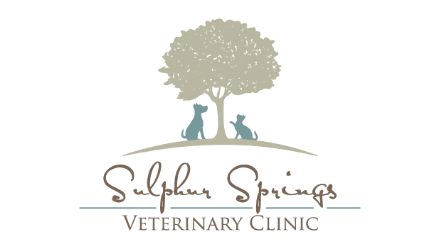 Sulphur Springs Veterinary Clinic logo